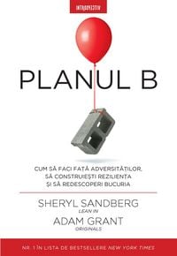 Produktbild: Planul B