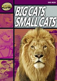 Produktbild: Rapid Reading: Big Cats Small Cats (Stage 1, Level 1a)