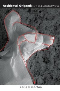 Produktbild: Accidental Origami