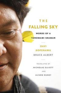 Produktbild: Albert, B: Falling Sky