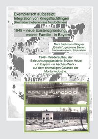 Produktbild: Exemplarisch aufgezeigt: Integration von Kriegsfl&uuml;chtlingen