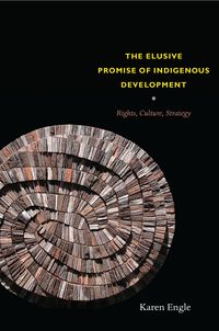 Produktbild: Elusive Promise of Indigenous Development