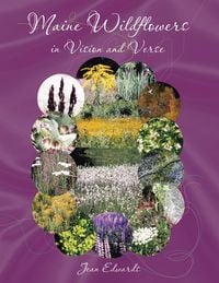 Produktbild: Maine Wildflowers in Vision and Verse
