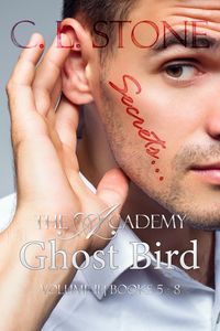 Produktbild: Ghost Bird: The Academy Omnibus Part 2