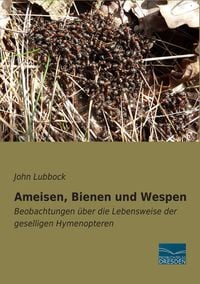 Produktbild: Ameisen, Bienen und Wespen