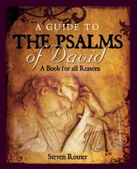 Produktbild: A Guide to the Psalms of David