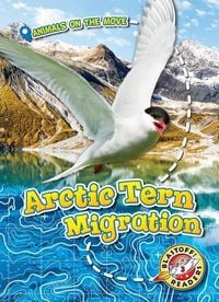 Produktbild: Arctic Tern Migration