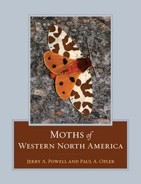 Produktbild: Moths of Western North America
