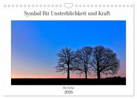 Produktbild: Symbol f&uuml;r Unsterblichkeit und Kraft (Wandkalender 2026 DIN A4 quer), CALVENDO Monatskalender