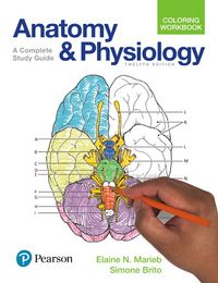 Produktbild: Anatomy and Physiology Coloring Workbook: A Complete Study Guide