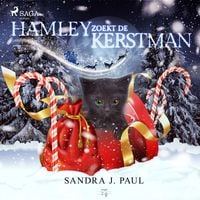 Produktbild: Hamley zoekt de kerstman