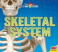 Produktbild: Skeletal System
