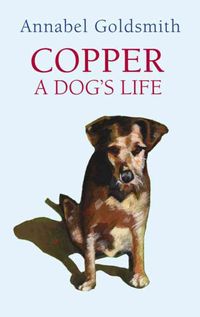 Produktbild: Copper