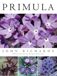 Produktbild: Primula