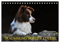 Produktbild: Traumhund Border Collie (Tischkalender 2026 DIN A5 quer), CALVENDO Monatskalender