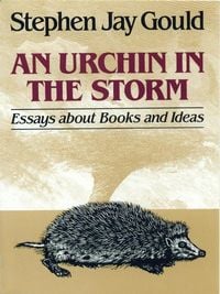 Produktbild: An Urchin in the Storm