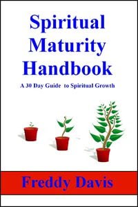 Produktbild: Spiritual Maturity Handbook (Radical Disciple, #5)