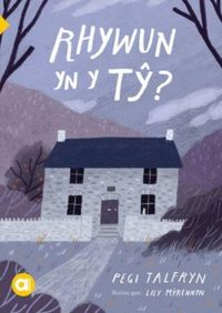 Produktbild: Cyfres Amdani: Rhywun yn y Ty?