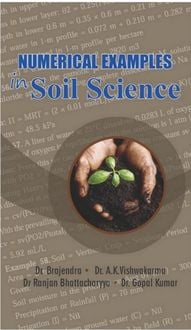 Produktbild: Numerical Examples In Soil Science