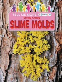 Produktbild: Creepy Crawly Slime Molds
