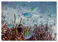 Produktbild: Unterwasserwelt der Malediven III (Wandkalender 2026 DIN A2 quer), CALVENDO Monatskalender