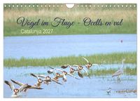 Produktbild: V&ouml;gel im Fluge - Ocells en vol (Wandkalender 2027 DIN A4 quer), CALVENDO Monatskalender