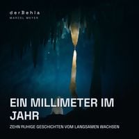 Produktbild: Ein Millimeter im Jahr