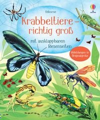 Produktbild Krabbeltiere - richtig groß