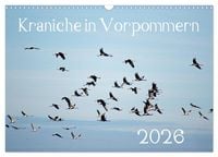 Produktbild: Kraniche in Vorpommern (Wandkalender 2026 DIN A3 quer), CALVENDO Monatskalender