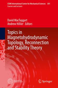 Produktbild: Topics in Magnetohydrodynamic Topology, Reconnection and Stability Theory