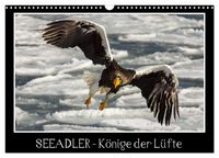 Produktbild: Seeadler - K&ouml;nige der L&uuml;fte (Wandkalender 2026 DIN A3 quer), CALVENDO Monatskalender