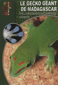 Produktbild: Gecko geant de madagascar phelsuma
