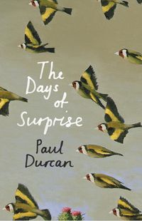 Produktbild: The Days of Surprise