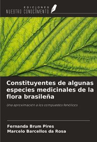 Produktbild: Constituyentes de algunas especies medicinales de la flora brasile&ntilde;a