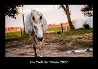 Produktbild: Die Welt der Pferde 2027 Fotokalender DIN A3