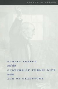 Produktbild: Meisel, J: Public Speech and the Culture of Public Life in t