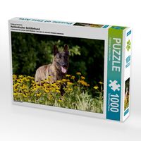 Produktbild: CALVENDO Puzzle Ein Motiv aus dem Kalender Holl&auml;ndischer Sch&auml;ferhund | 1000 Teile Lege-Gr&ouml;&szlig;e 64x48cm Foto-Puzzle f&uuml;r gl&uuml;ckliche Stunden