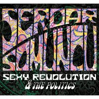Produktbild: Serdar Somuncu, Sexy Revolution & The Politics
