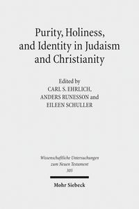 Produktbild: Purity, Holiness, and Identity in Judaism and Christianity
