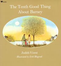 Produktbild: The Tenth Good Thing about Barney