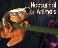 Produktbild: Nocturnal Animals