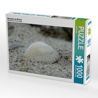 Produktbild: Muschel am Strand (Puzzle)