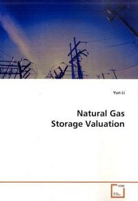 Produktbild: Li, Y: Natural Gas Storage Valuation