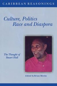 Produktbild: Culture, Politics, Race and Diaspora