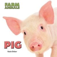 Produktbild: Pig