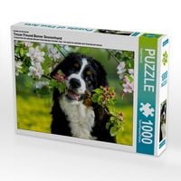 Produktbild: CALVENDO Puzzle Ein Motiv aus dem Kalender Treuer Freund Berner Sennenhund | 1000 Teile Lege-Gr&ouml;&szlig;e 64x48cm Foto-Puzzle f&uuml;r gl&uuml;ckliche Stunden