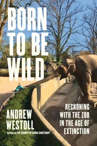 Produktbild: Born to Be Wild