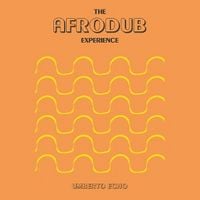 Produktbild: The Afrodub Experience (180g Black Vinyl)
