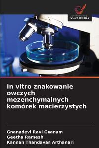 Produktbild: In vitro znakowanie owczych mezenchymalnych kom&oacute;rek macierzystych