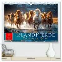 Produktbild: Islandpferde - Freiheit im Blick (hochwertiger Premium Wandkalender 2026 DIN A2 quer), Kunstdruck in Hochglanz
